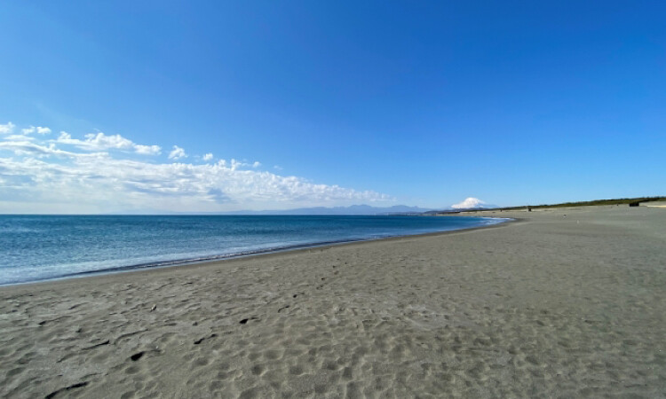 山と海の循環と地域文化を育む「間伐」の役割とは？