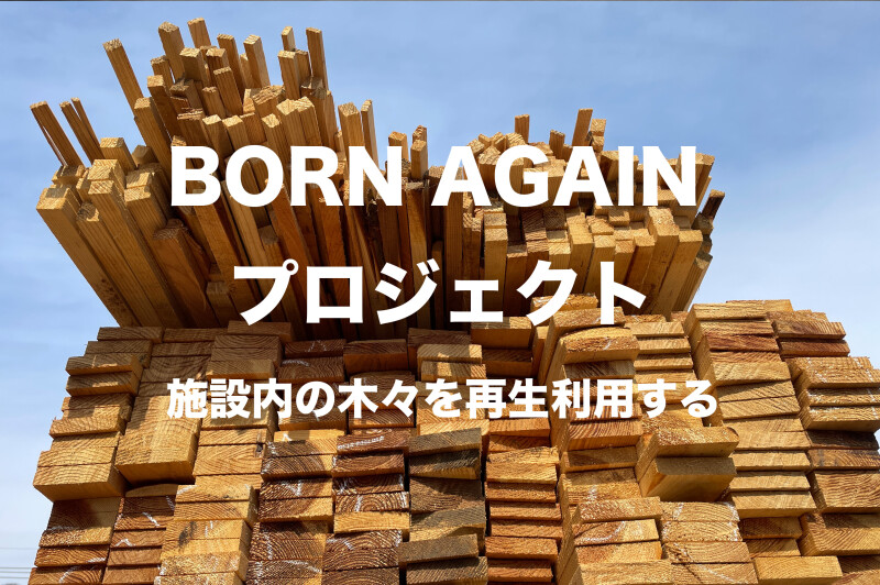 BORN AGAIN プロジェクト 再整利用のススメ