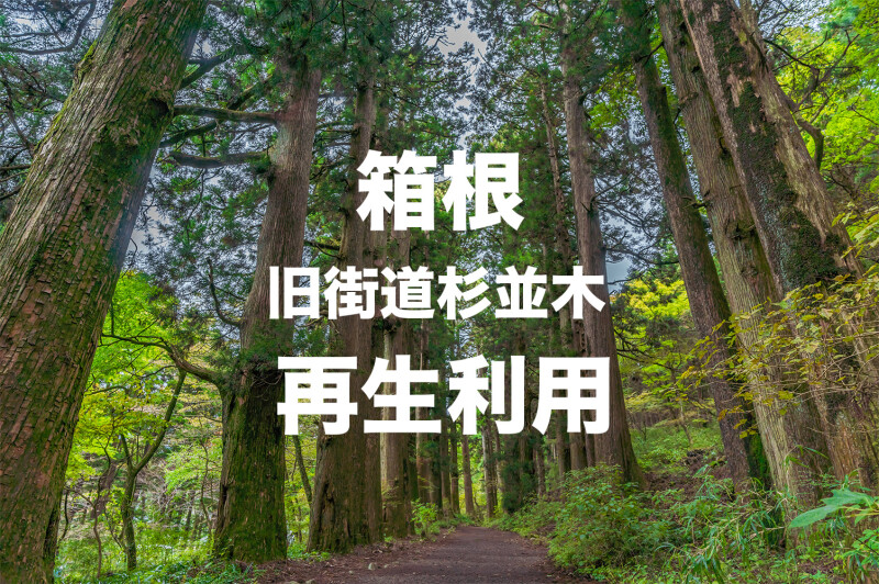樹齢350年を超える箱根旧街道杉並木の杉を再生利用しています。
