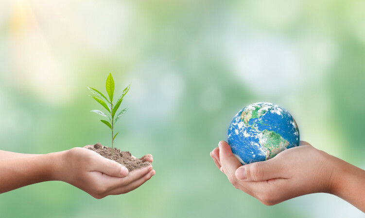 SDGsが目指す持続可能な社会とは？間伐材の再生利用が示す具体的な解決策