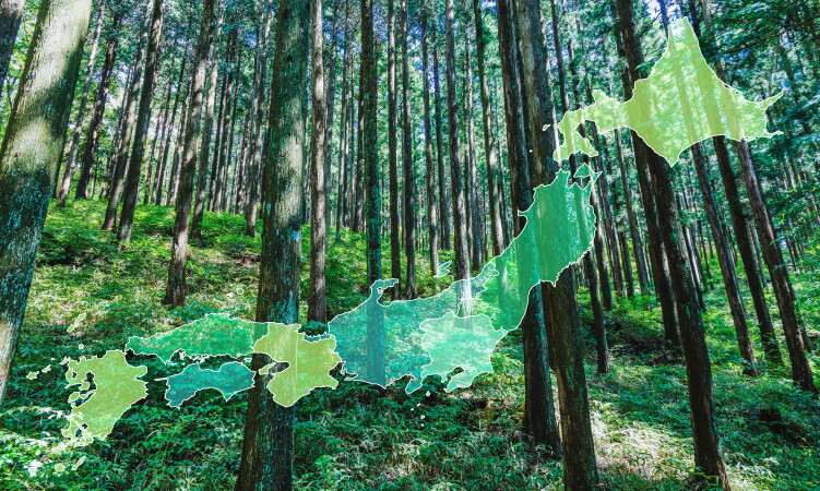 日本の地域ごとに異なる間伐の課題