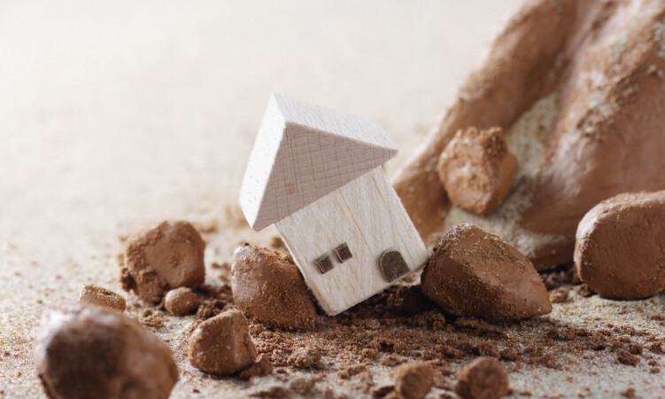 間伐不足が引き起こす日本の自然災害と環境問題