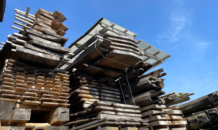 日本で間伐を継続する仕組みと湘南・箱根地域の活動事例