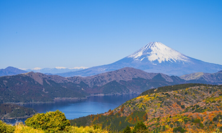 小田原・箱根の木工文化を発展させた地域分業