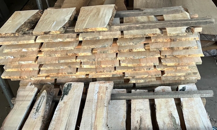 木工産業と資源循環を支える小田原・箱根地域の取り組み