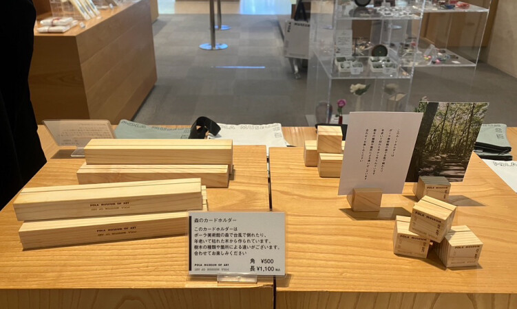 伐採後も土地の記憶として生き続ける敷地内の木