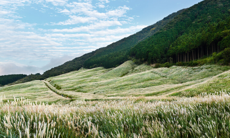 地域らしさをご当地土産のブランド価値につなげるポイント